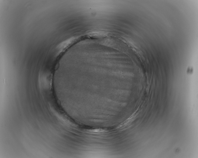 X0000091550168200709141523