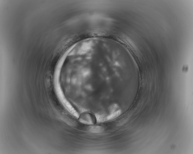 X0000091550169200709141523