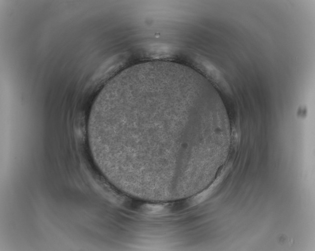 X0000091550170200709141523