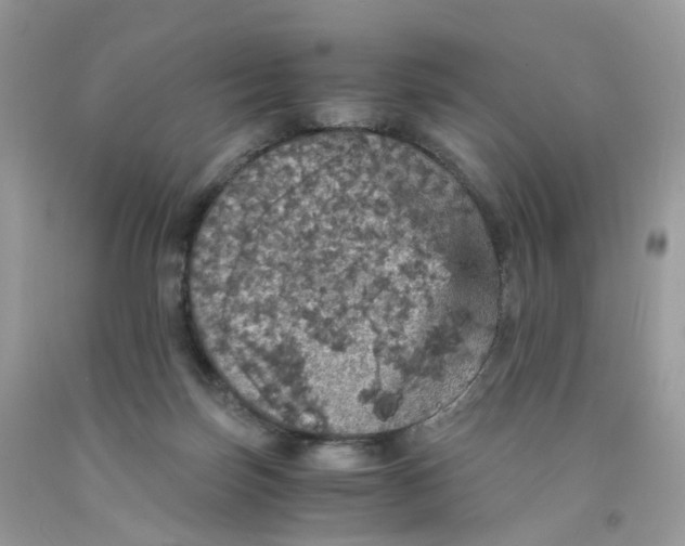 X0000091550171200709141523