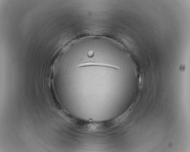 X0000091550172200709141523