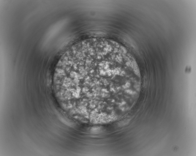 X0000091550173200709141523