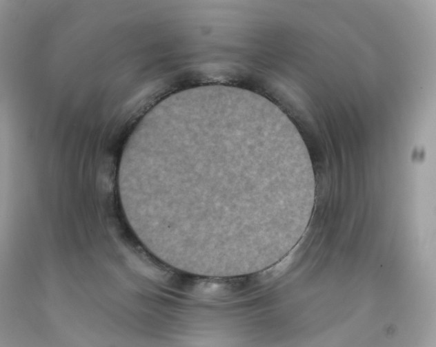 X0000091550174200709141523