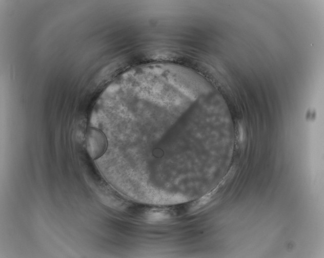 X0000091550175200709141523