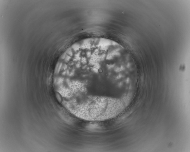 X0000091550177200709141523