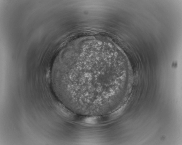 X0000091550178200709141523