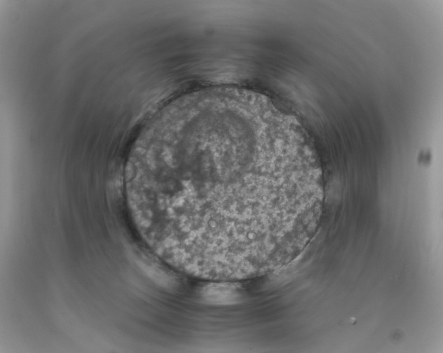 X0000091550179200709141523