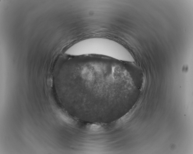 X0000091550180200709141523