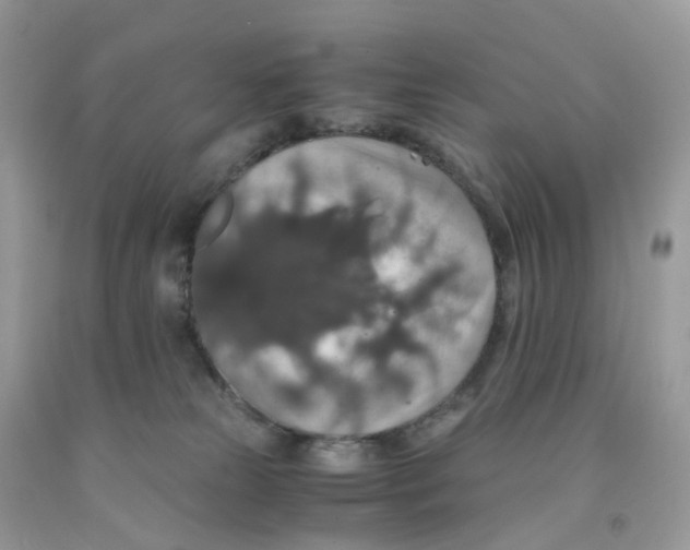 X0000091550181200709141523