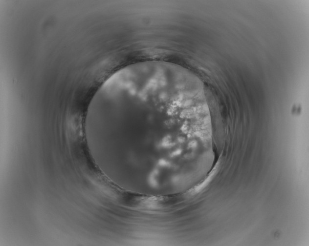 X0000091550182200709141523