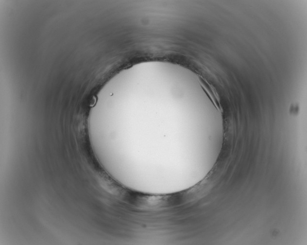 X0000091550184200709141523