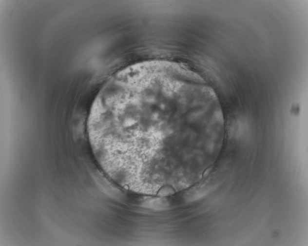 X0000091550185200709141523