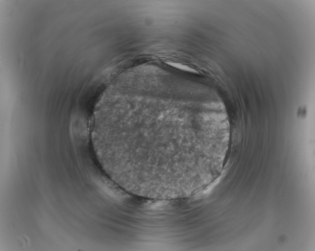 X0000091550186200709141523