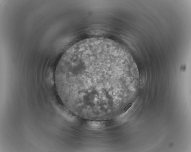 X0000091550187200709141523