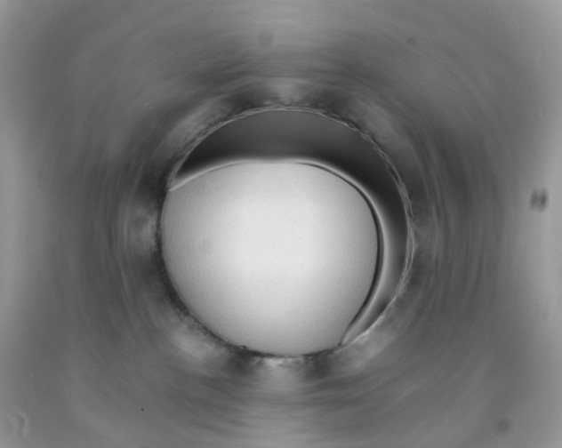 X0000091550188200709141523