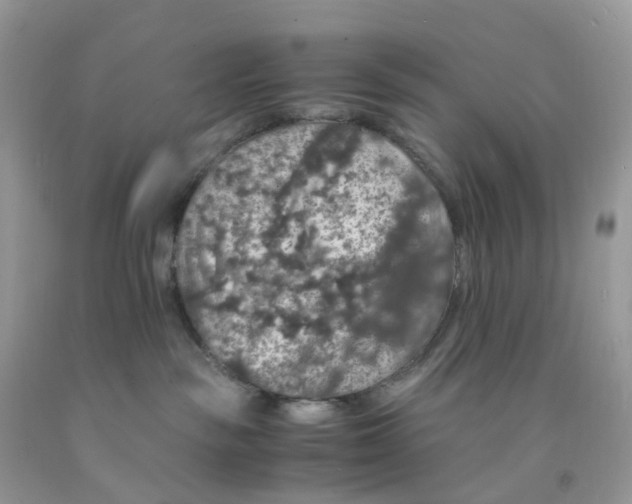 X0000091550189200709141523