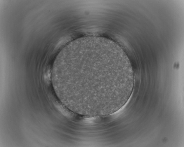 X0000091550190200709141523