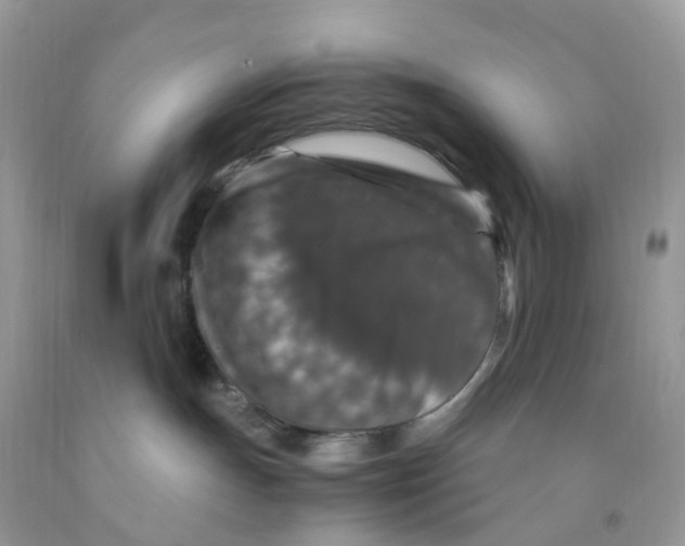 X0000091550191200709141523