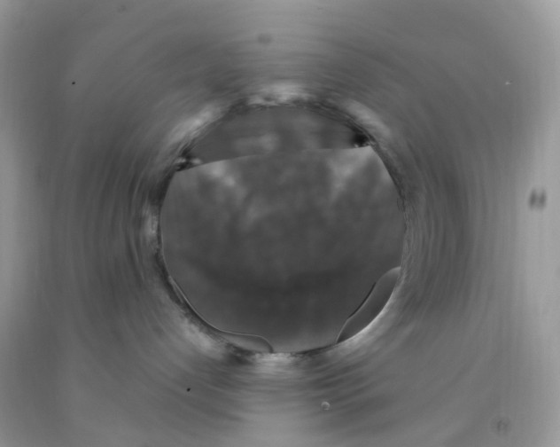 X0000091550192200709141523