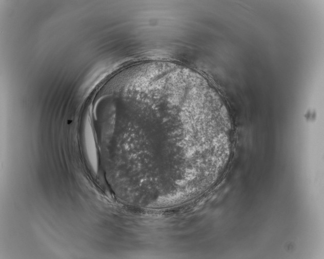 X0000091550194200709141522