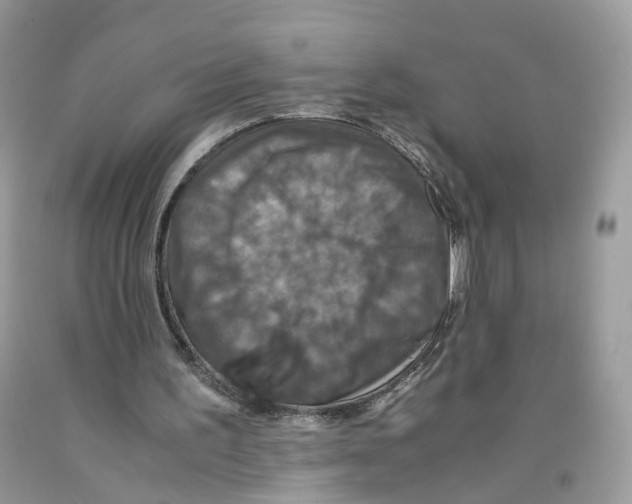 X0000091550195200709141522