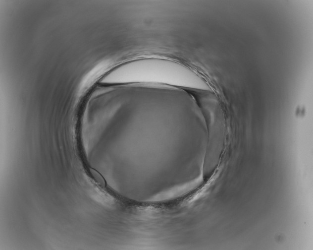 X0000091550197200709141522