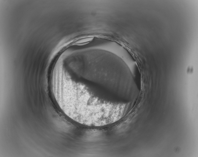 X0000091550198200709141522