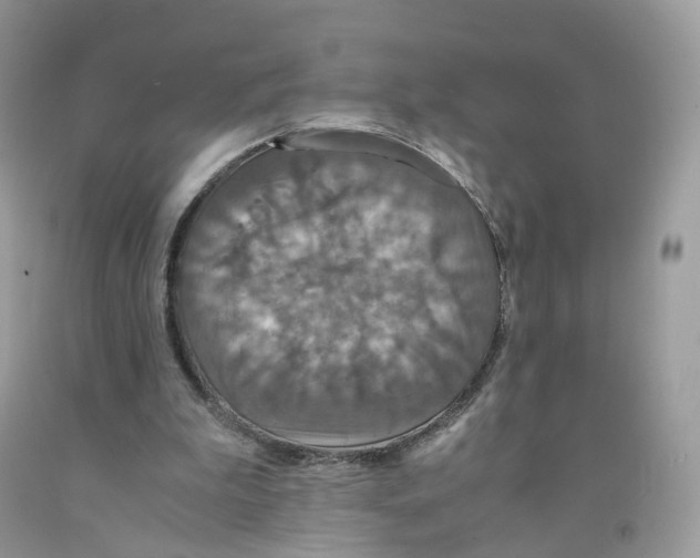 X0000091550199200709141522