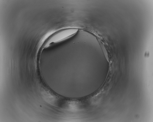 X0000091550200200709141522