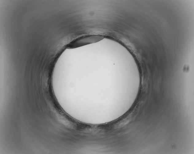 X0000091550201200709141522