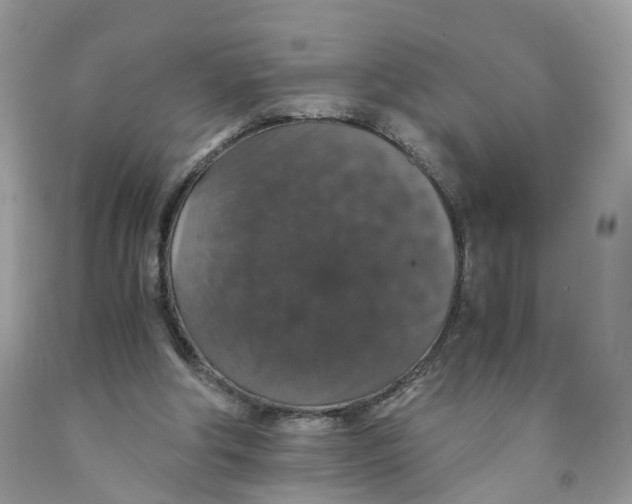 X0000091550202200709141522