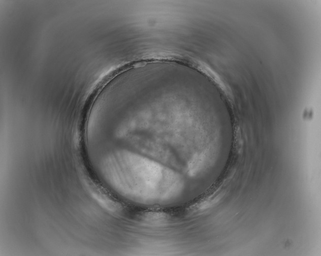 X0000091550203200709141522