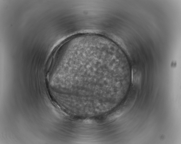 X0000091550204200709141522