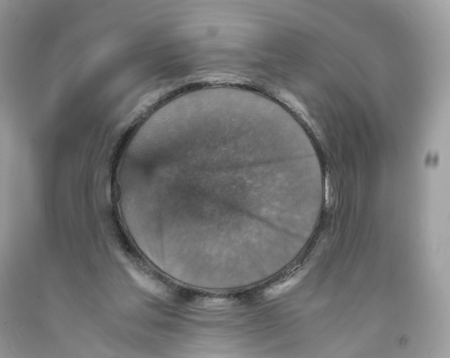 X0000091550205200709141522