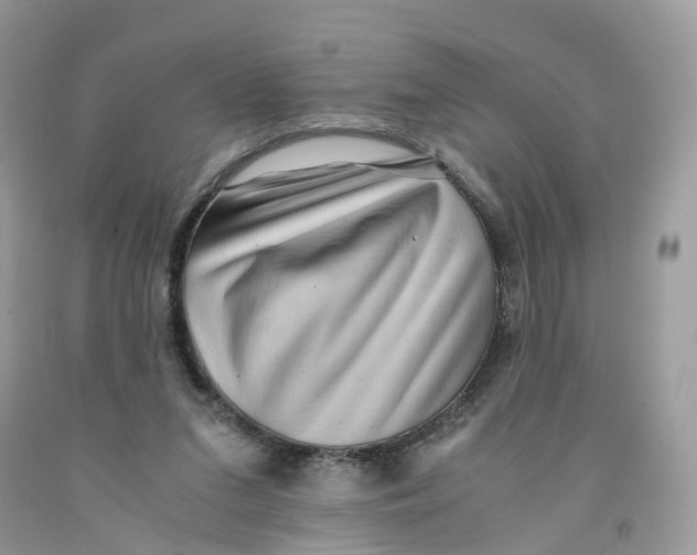 X0000091550207200709141522