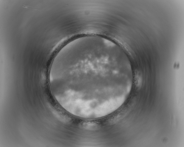 X0000091550208200709141522