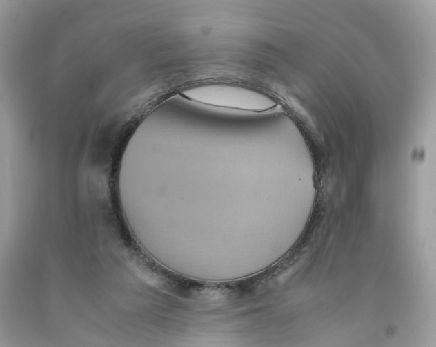 X0000091550209200709141522