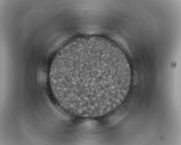 X0000091550210200709141522