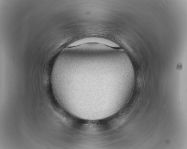 X0000091550211200709141522