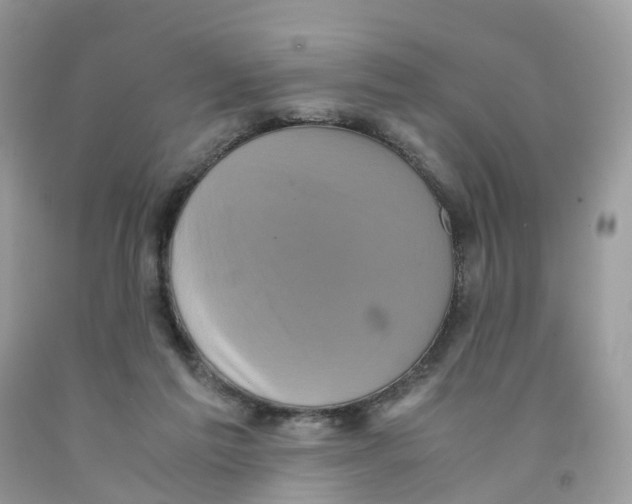 X0000091550213200709141522