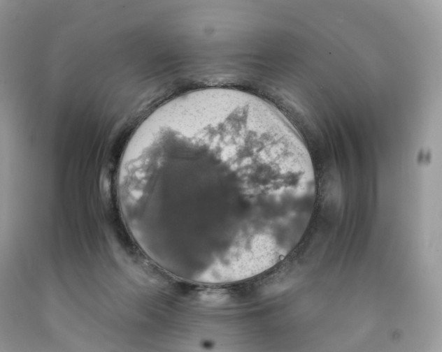 X0000091550214200709141522