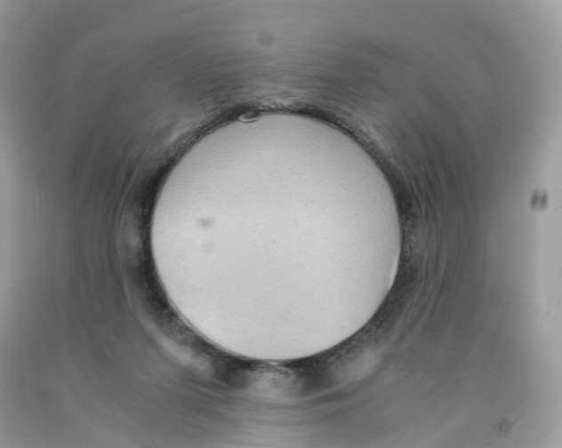 X0000091550215200709141522