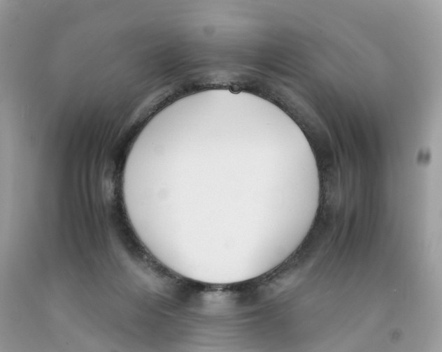 X0000091550216200709141522