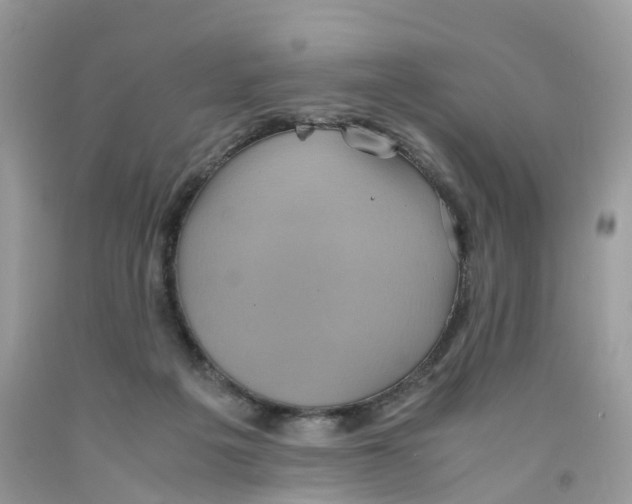 X0000091550217200709141522