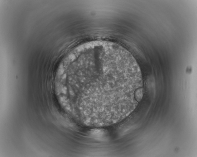 X0000091550218200709141522