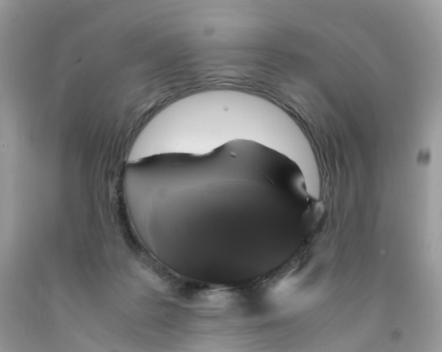 X0000091550219200709141522