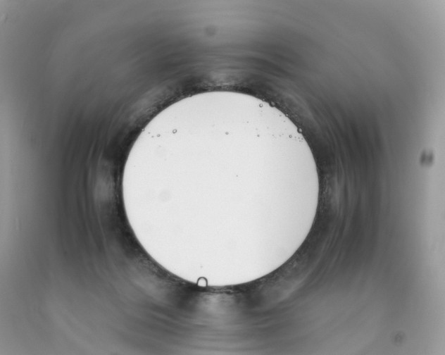 X0000091550220200709141522