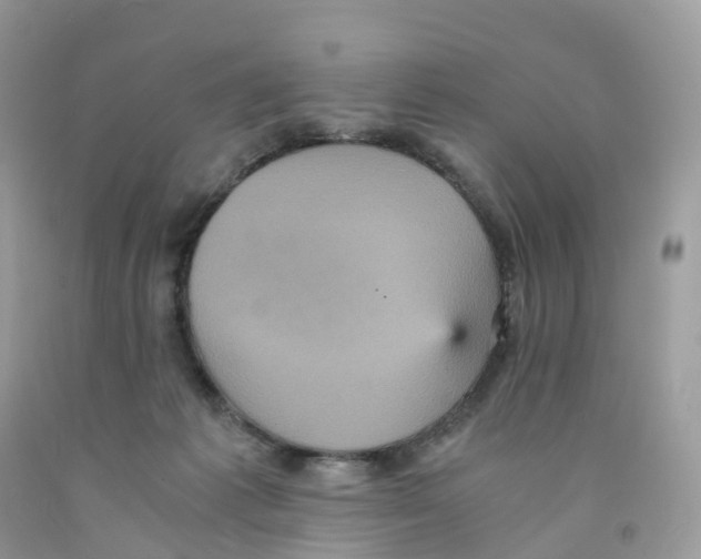 X0000091550221200709141522