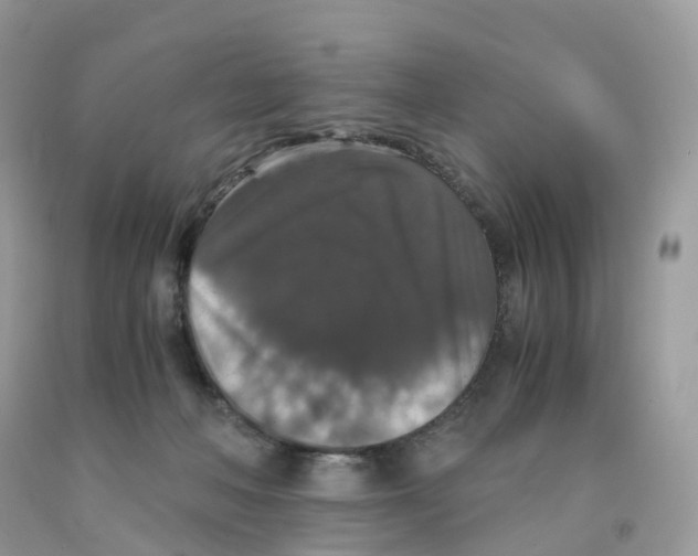 X0000091550222200709141522