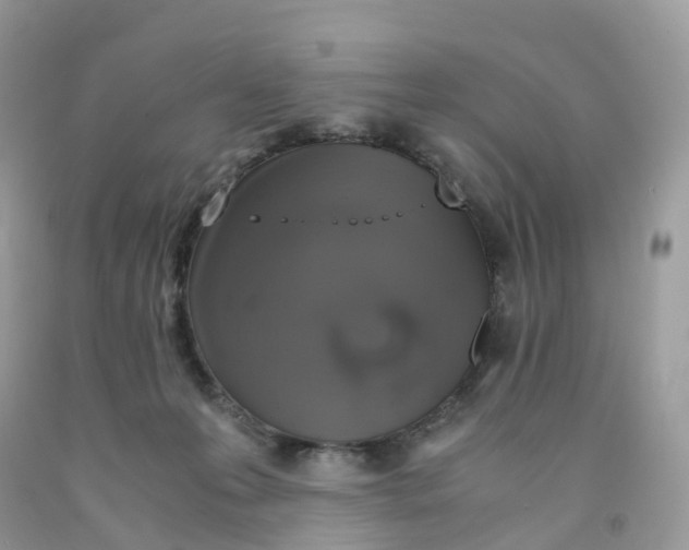 X0000091550223200709141522